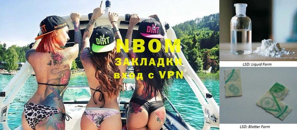 гашик Майский