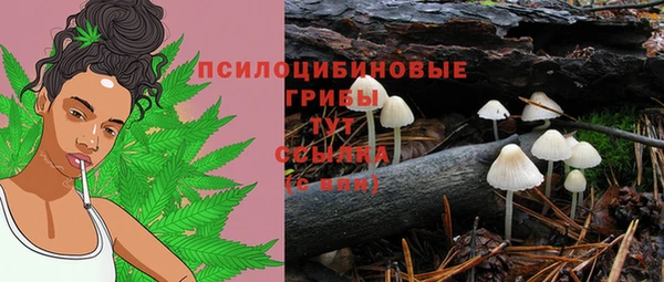 гашик Майский