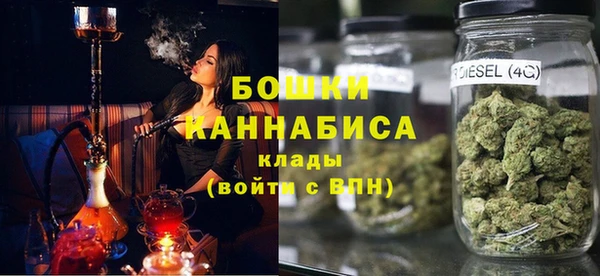 гашик Майский