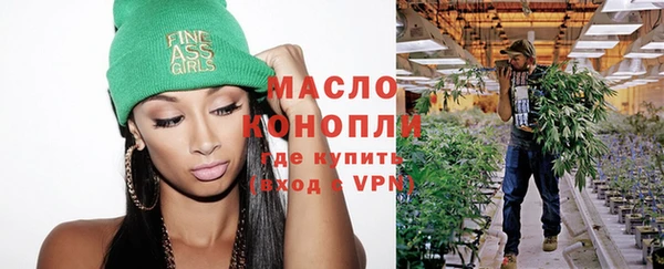 гашик Майский
