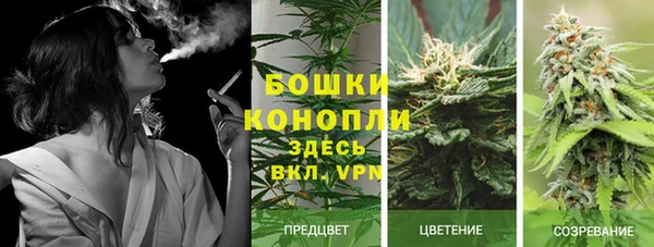 марихуана Магас