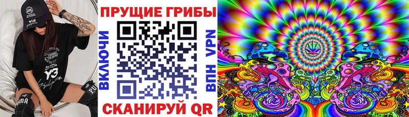 Галлюциногенные грибы MAGIC MUSHROOMS  Данилов 