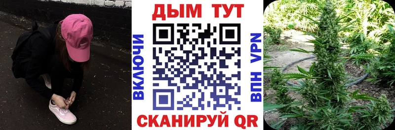 мориарти Telegram  Данилов  МАРИХУАНА Bruce Banner 
